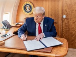 Executive Order Promotes Voluntary AI Oversight, Impacting Business and Economic Strategies