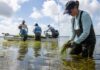 New Projects Boost Gulf Coast Economic Growth and Business Opportunities