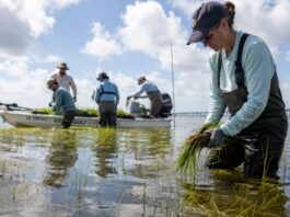 New Projects Boost Gulf Coast Economic Growth and Business Opportunities