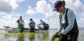 New Projects Boost Gulf Coast Economic Growth and Business Opportunities