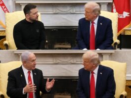 Trump Discusses Economic Ties with Zelenskyy and Netanyahu in White House Talks