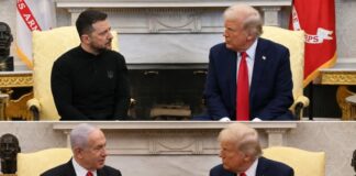 Trump Discusses Economic Ties with Zelenskyy and Netanyahu in White House Talks
