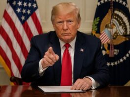 U.S. Imposes 50% Tariff on Canadian Automotive and Steel Imports