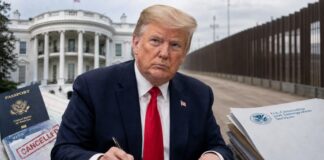 Visa Revocations Threaten Economic Impact for 200,000 Asylum Seekers