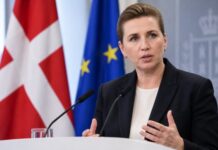 Denmark Pursues Economic Collaboration with US in Arctic and Greenland Ventures