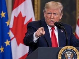 Trump Criticizes EU-Canada Trade Proposal, Considers Imposing Economic Tariffs