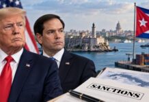 US Sanctions Spark Interest in Cuba’s Economic Opportunities for Trump, Rubio Allies