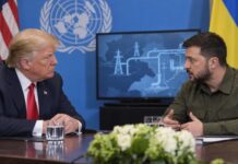 Zelenskyy-Trump UN Talks to Spotlight Energy Sector’s Economic Implications