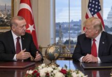 Erdoğan Seeks Enhanced Trade Ties to Boost Türkiye-US Economic Relations