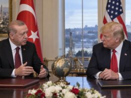 Erdoğan Seeks Enhanced Trade Ties to Boost Türkiye-US Economic Relations